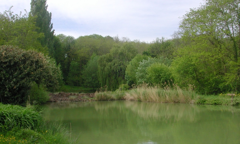 Étang